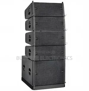 Thunder Sound TS2212 Line Array