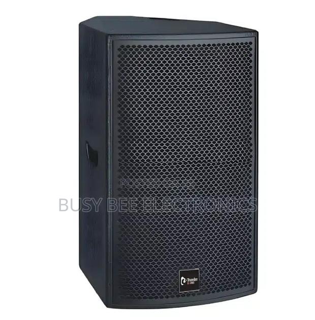 Thunder Sound TH110 Passive Speaker - main view