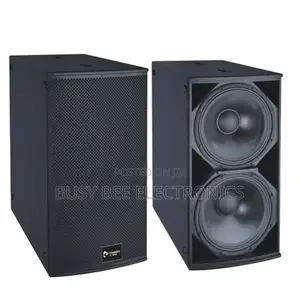 Thunder Sound TS228 18-Inch Subwoofer