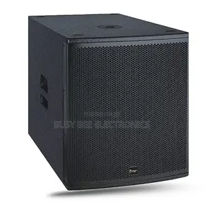 Thunder Sound TH118P Subwoofer