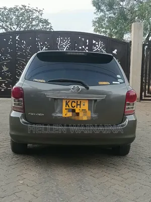 Toyota Corolla Fielder 2010 Gray