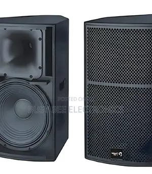 Thunder Sound TS1 12 Two-Way Full-Range Loudspeaker System