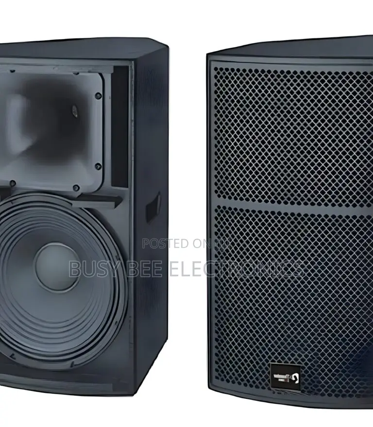 Thunder Sound TS1 12 Two-Way Full-Range Loudspeaker System