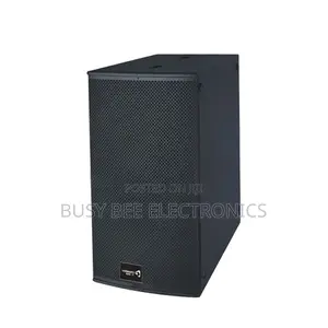 Thunder Sound TH228 Passive Speaker