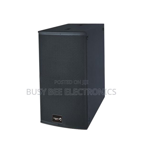 Thunder Sound TH228 Passive Speaker - main view