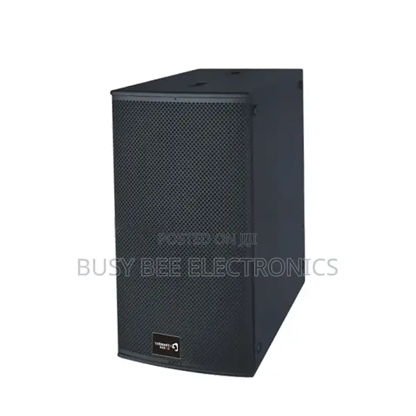 Thunder Sound TH228 Passive Speaker