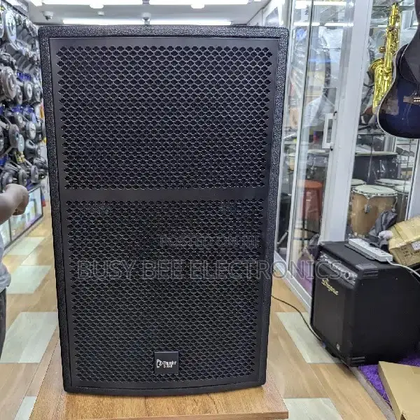 Thunder Sound TS115 Passive Speaker