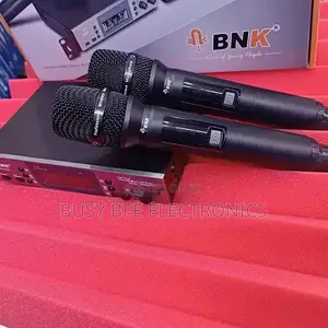 BNK BM 100 Wireless Microphone