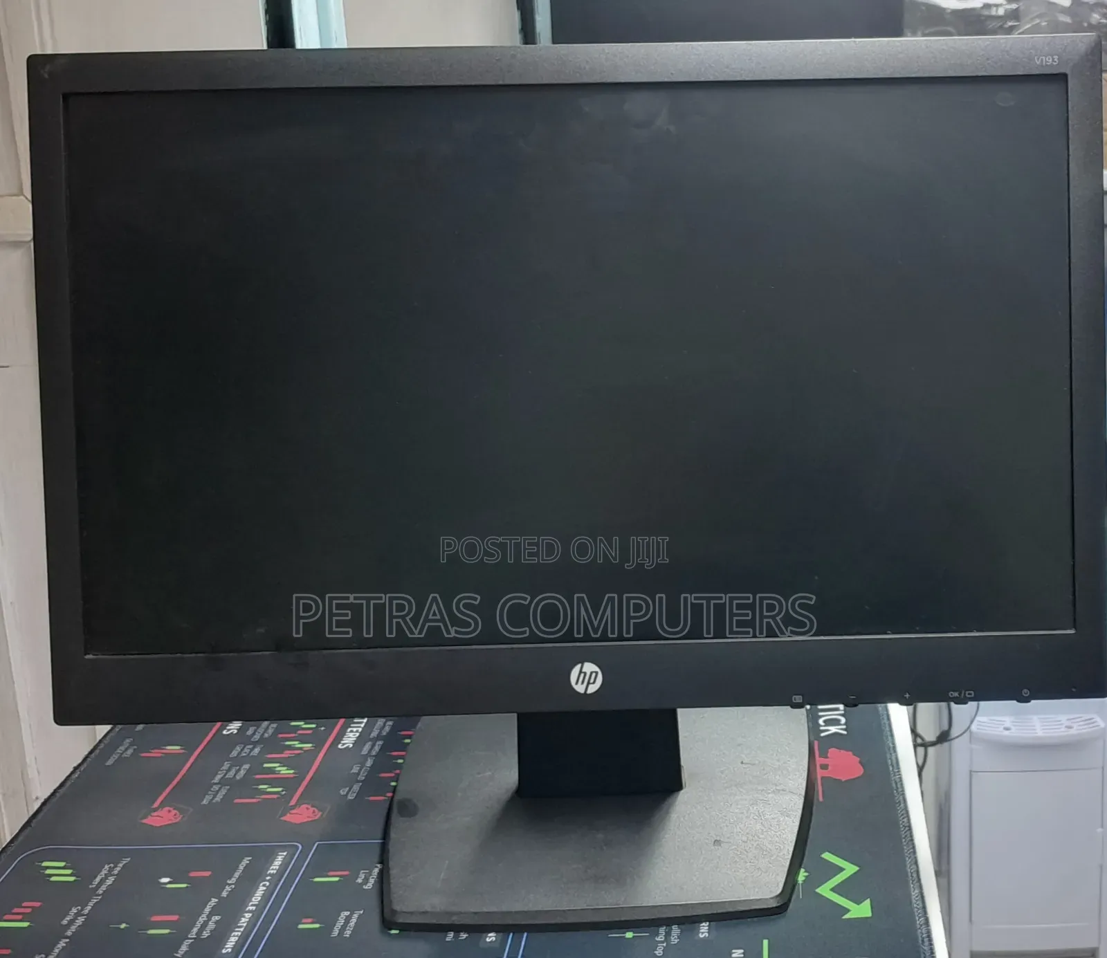 HP 19" Monitor