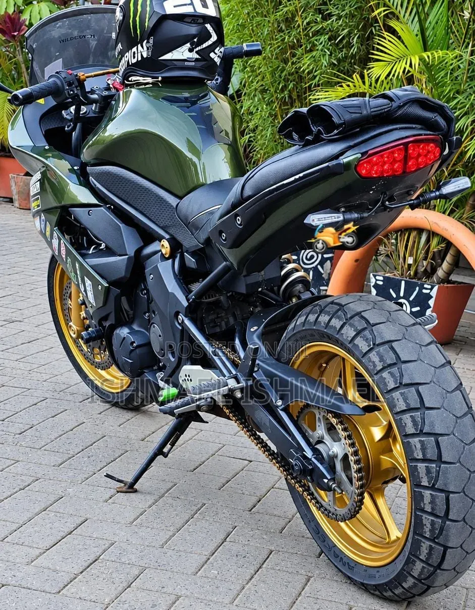 Kawasaki Ninja 650 2011 Green
