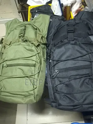 Camel Hiking Backpack.