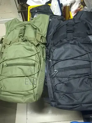 Camel Hiking Backpack.
