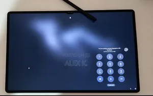 Samsung Galaxy Tab S9 Ultra 256 GB Gray