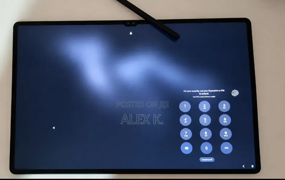 Samsung Galaxy Tab S9 Ultra 256 GB Gray