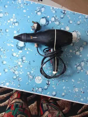 Selling This Blowdry Because I Closed My Salon