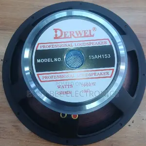 Derwel 15AH153 Professional Loudspeaker – 15 Inch 8Ω Speaker Driver
