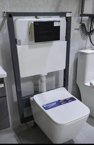 Frencia Wall Hung Toilet and Concealed Cistern Available