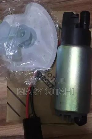 Electric Fuel Pump for Toyota Prado