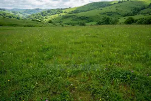 Kiamaina 50x100 Plot Store Ya Makaa for Sale