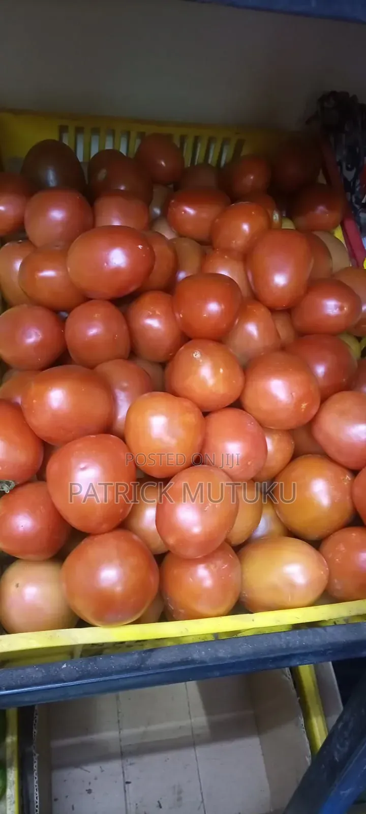 Fresh Ripe Tomatoes
