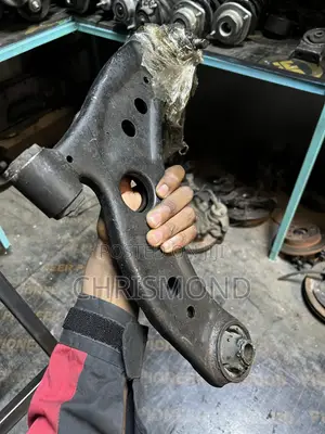 Control Arm Passo