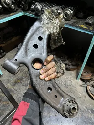 Control Arm Passo