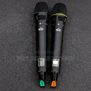 EVP Audio Ewg4 2 Professional Wireless Microphone