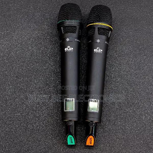 EVP Audio Ewg4 2 Professional Wireless Microphone - main view