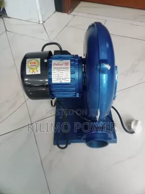 Pulsar High Power Motorized Blower
