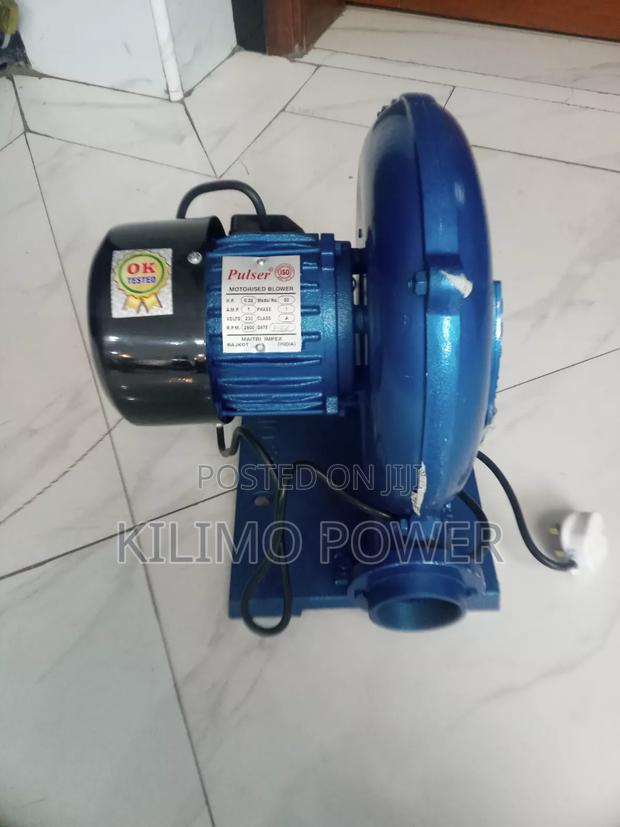 Pulsar High Power Motorized Blower