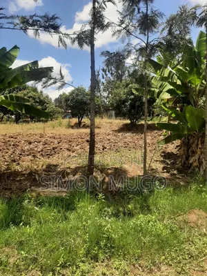 Makuyu Prime 1/4 Acre Ready Title Quick Sale Ksh1.7 Millions