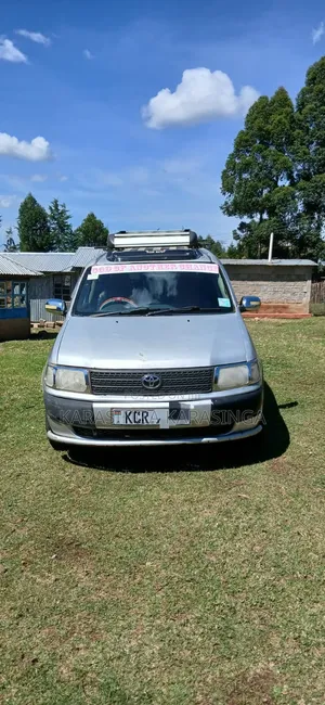Toyota Probox 1.5 DX 4WD 2011 Silver
