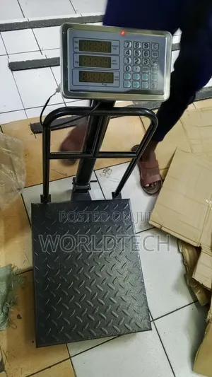 300kg Platform Scale/Quality With Guard Platform Scale