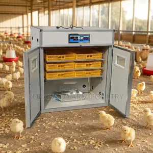 528 Eggs Capacity