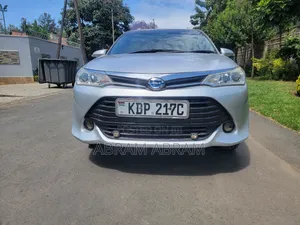 Toyota Corolla Fielder 2017 Silver