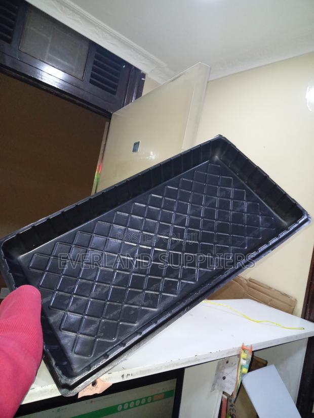 Smooth-Finish Hydroponic Trays - No Holes - main view