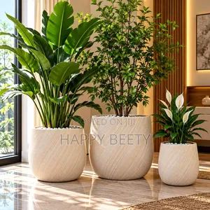 Luxury Concrete Planters