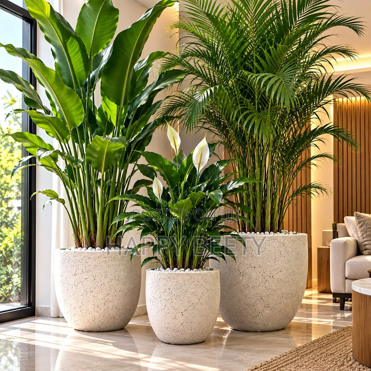 Luxury Concrete Planters
