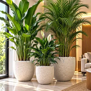 Luxury Concrete Planters