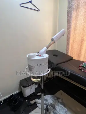Facial Steamer