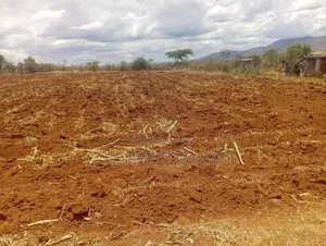 2 Acres of Land
