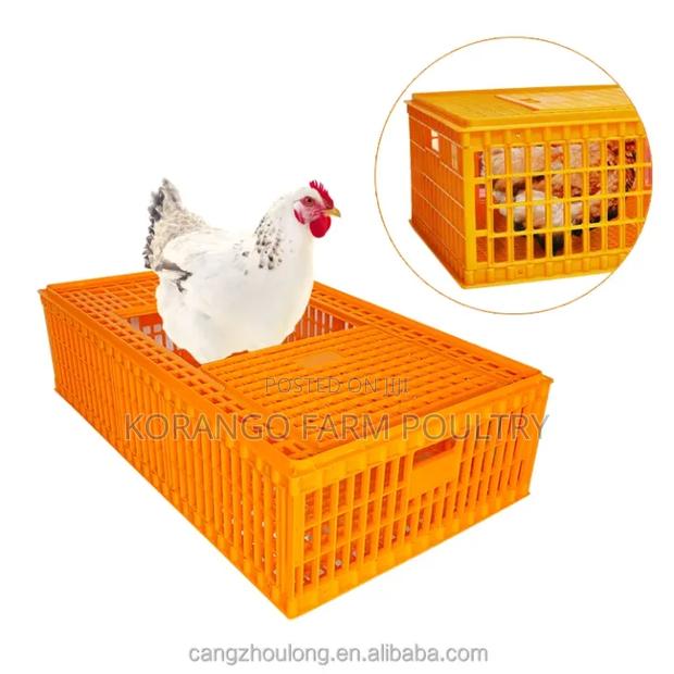 Chicken Carrier - main view