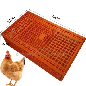 Chicken Carrier