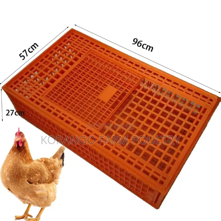 Chicken Carrier