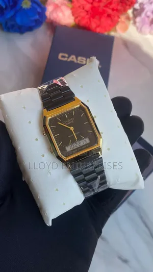 Casio Dual Time Watch