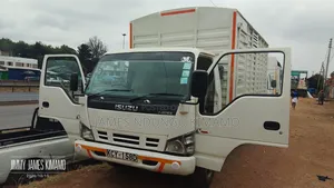 Isuzu Truck NPR on Sale