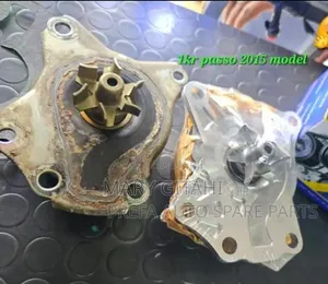 Water Pump Passo Old Model 2015