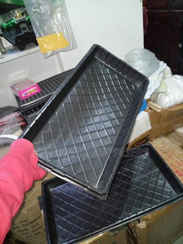 Hydroponic Trays for Mixed Salad Greens - No Holes - main view
