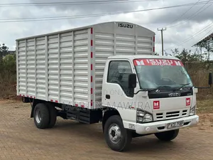 Isuzu NPR Lorry for Sale
