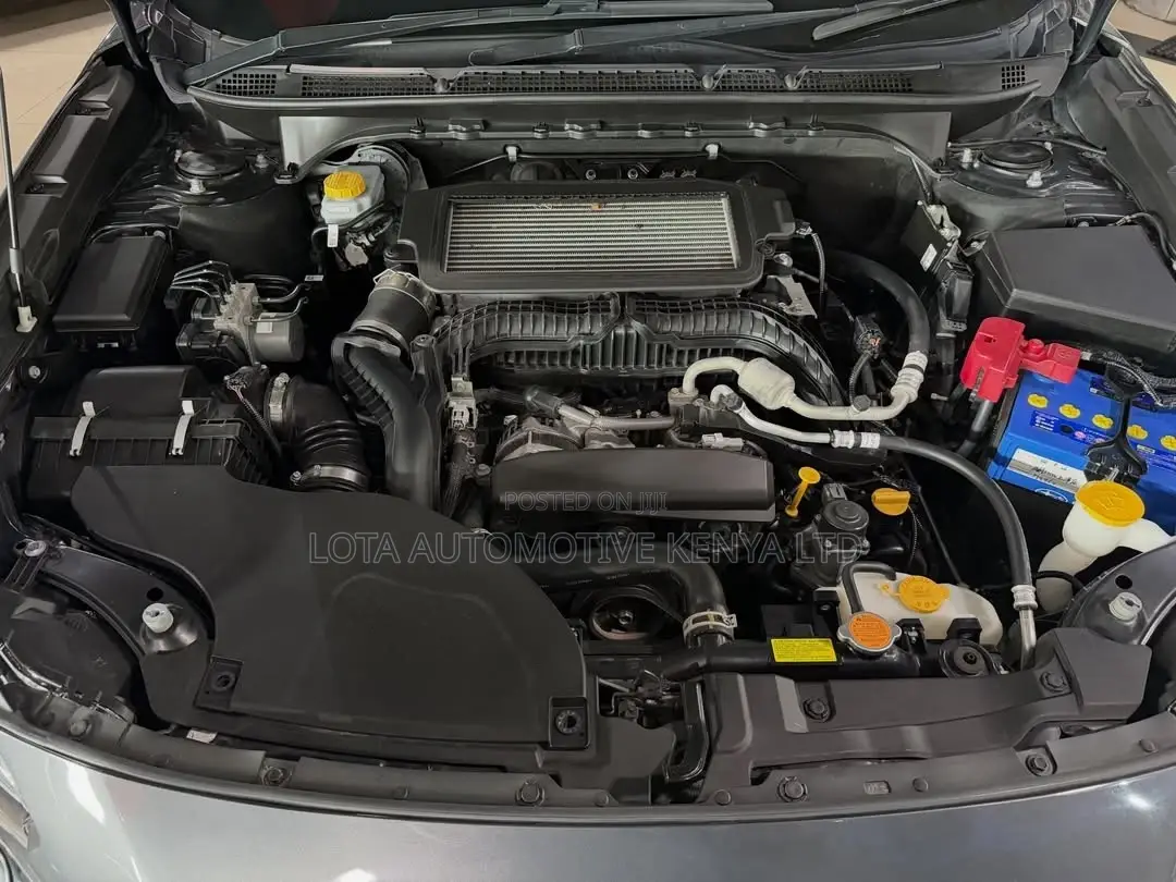 Subaru Outback 2022 Gray